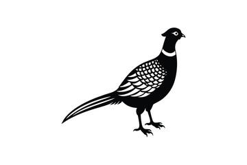 Fototapeta premium Elegant Pheasant Illustration in Black and White Silhouette Style on a Clean White Background silhouette