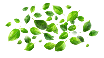  green floating leaves flying leaves green leaf isolated on white background PNG , AI GENERATED 