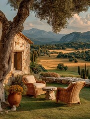 Back garden photo