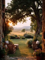 Back garden photo