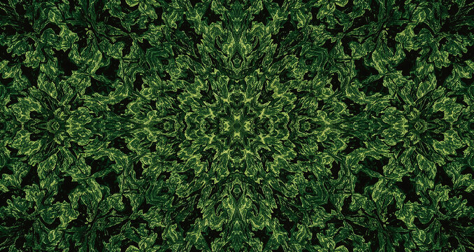 Photo of kaleidoscopic pattern of lush green foliage creates an intricate and mesmerizing natural background image