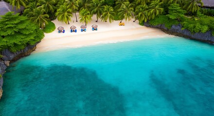 Aerial view of a pristine tropical beach with turquoise water and palm trees offering shade for sunbathers a paradise vacation spot