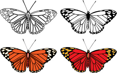 butterfly isolated on white background.The butterfly spreads its wings and is ready to fly.Set of four butterflies flying.