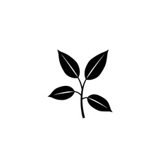 simple black and white illustration of a plant with four leaves and a stem on a white background