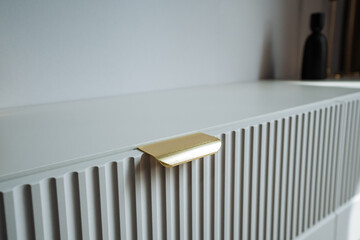 Modern Interior Dcor Featuring Textured Storage Unit and Gold Accents