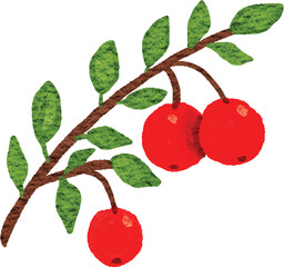 Watercolor illustration of fresh fruits on isolated background