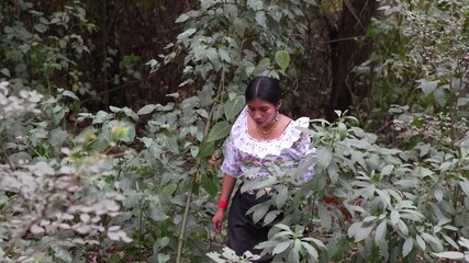 Indigenous woman walking through lush forest