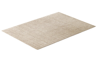 Modern beige rectangular rug. 3d render