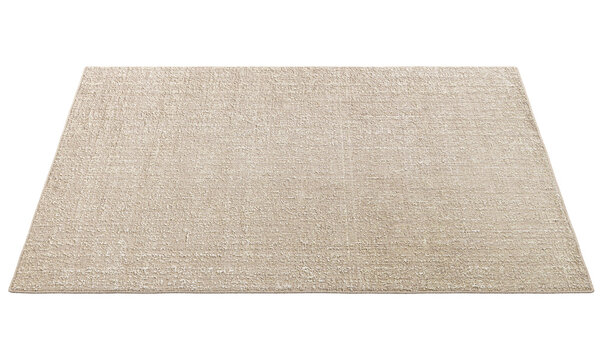 Modern beige rectangular rug. 3d render