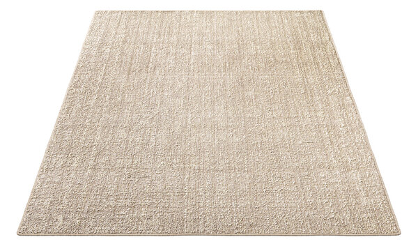 Modern beige rectangular rug. 3d render