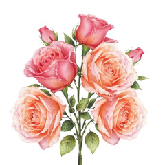 Beautiful bouquet of delicate pink and peach roses with green leaves isolated on transparent background