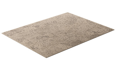 Modern brown rectangular rug with long pile. 3d render