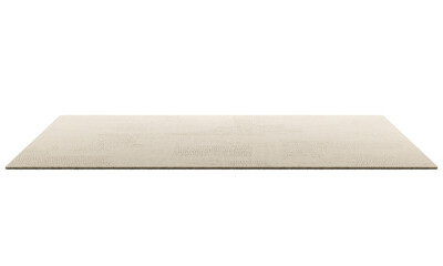 Modern beige rectangular rug with long pile. 3d render