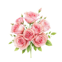 Naklejka premium Beautiful watercolor painting of a bouquet of delicate pink roses with green leaves isolated on transparent background