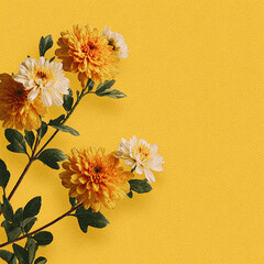 bouquet of yellow chrysanthemums on yellow background  made with generative AI