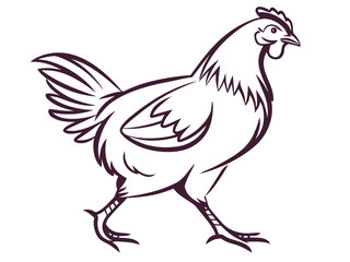 Fototapeta premium rooster isolated on white background