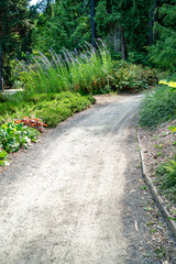 Park Arboretum Path
