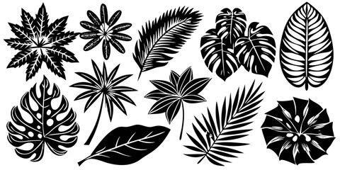 Vibrant Black and White Tropical Leaf Art Design