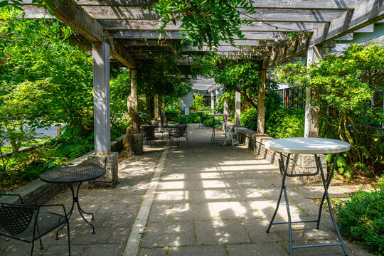 Aboretum Patio Architecture