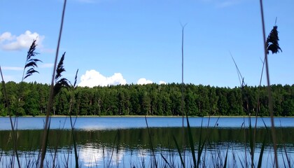 Obraz premium Lakeside vista, tranquil scene