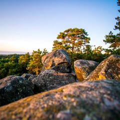 Rocky landscape at dawn (1)
