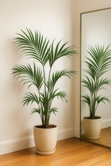 A Pair of Palms Against a White Wall with a Golden Mirror