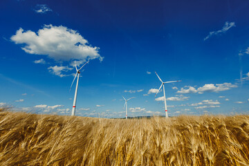 In a scenic wheat field under a blue sky with clouds, wind turbines rotate, showcasing the synergy...
