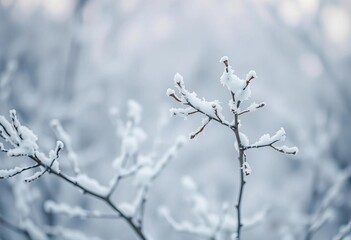 Soft, blurred winter landscape with muted pastel tones, delicate snow on frosted branches,  abstract,  background