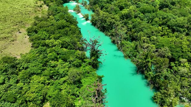 R&iacute;o de aguas limpias entre &aacute;rboles frondosos
Paisaje acu&aacute;tico de tonos vibrantes