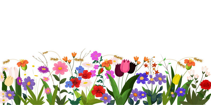 Horizontal banner with Summer, spring flowers Border, Isolated on Transparent Background. Botanical  vector illustration