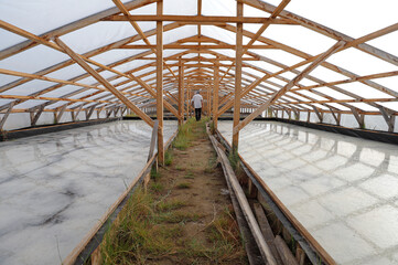 Fototapeta premium Traditional Salt Farmers Harvesting Sea Salt in Aceh Besar, Indonesia – August 8, 2025