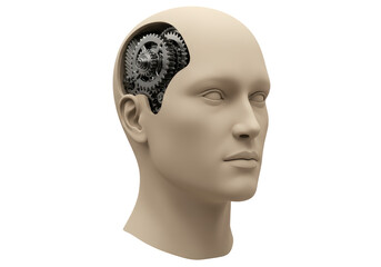 Isolated Human Head with Gears Inside