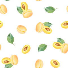 Seamless watercolor pattern with hand drawn apricot with leaves and half apricot.