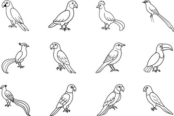 Exotic Tropical Birds Line Art Collection with macaw, toucan, quetzal, parrot, motmot, bird of paradise, lorikeet, turaco, roller