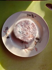 A slice of sausage with visible mold on a plate. The image shows a spoiled food product with mold texture, suitable for themes related to food safety, spoilage, and hygiene.