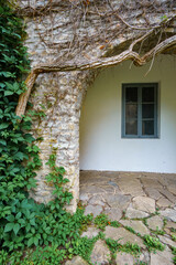 old stone wall with arch covered by green ivy and window, close up of beautiful and cozy...