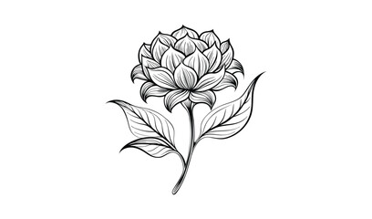 Obraz premium Elegant hand drawn black and white botanical illustration of a flower