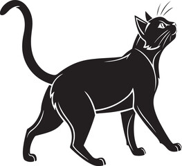 Black cat walking and looking up with white outline