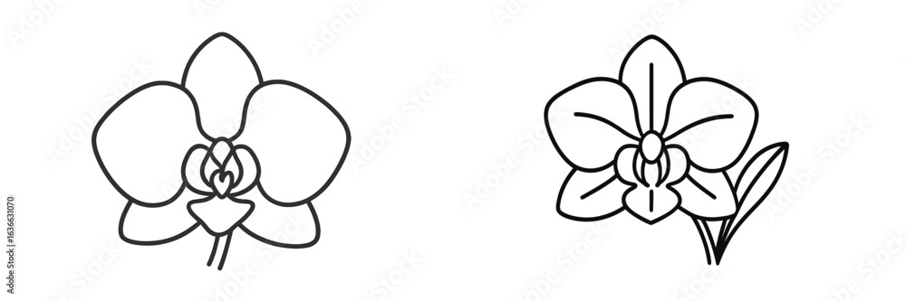 Poster two distinct line drawings of orchids showcasing their elegant forms and detailed structures in a mi