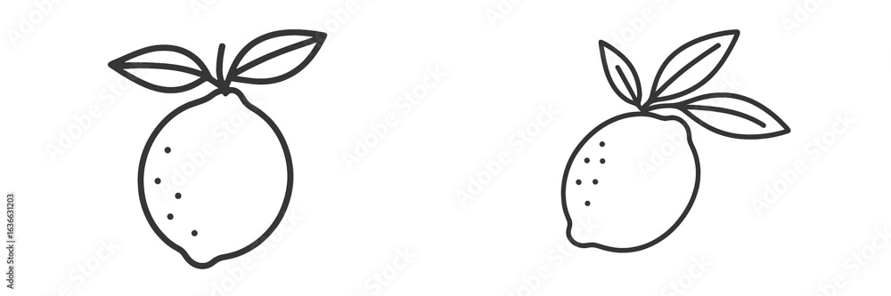 Poster two simple line drawings of lemons with leaves featuring distinct shapes and sizes, suitable for var