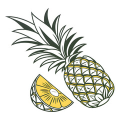 vector illustration of pineapple