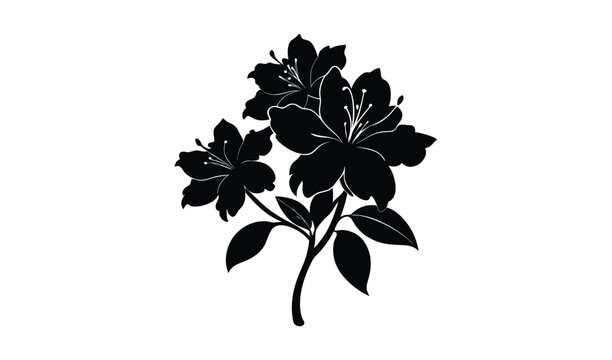 Black silhouette of a blooming azalea branch with delicate flowers and leaves