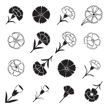 Black and white carnation flower icons and vector illustrations for graphic design projects and floral arrangements in monochrome style
