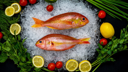 tail of a large fish on ice on a dark background