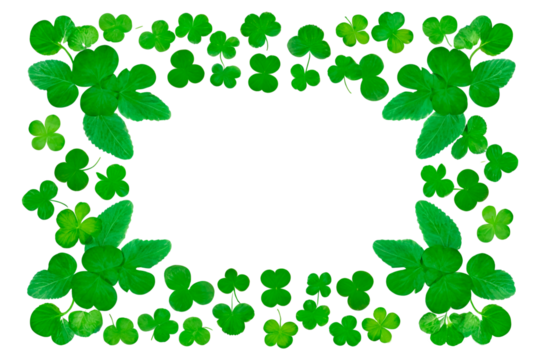 st patrick background four leaf clover isolated