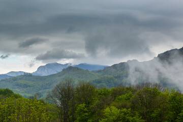 Dramatic scenery with clouds and lush green flora in the Carpathians Mountains in spring