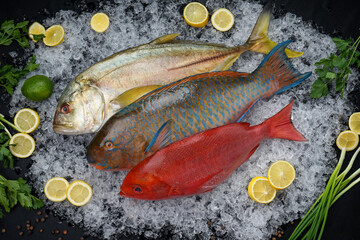 fresh three exotic fish on a plate of ice with lemons and herbs on a black background