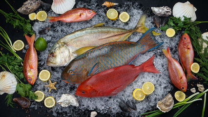 fresh exotic fish on ice on a dark background with lemons, herbs and shells
