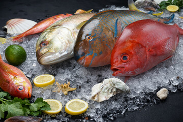 fresh exotic fish on ice on a dark background macro photo