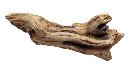 Single piece of driftwood with natural shape on a white background